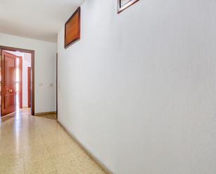 Flat to rent in Las Palmas de Gran Canaria  with Oven, Pets allowed and Internet