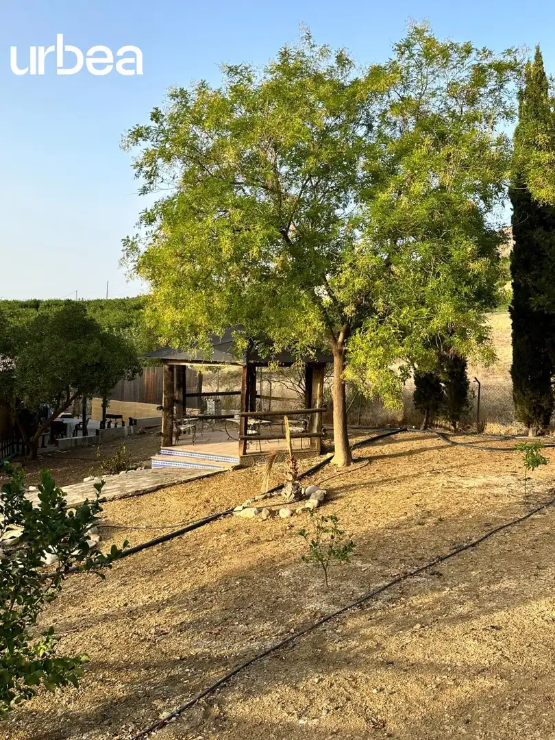 Jardí de Finca rústica en venda en Pizarra amb Aire condicionat, Calefacció i Jardí privat