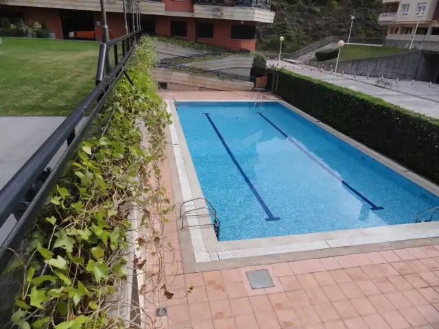 Swimming pool of Flat for sale in Cotolino