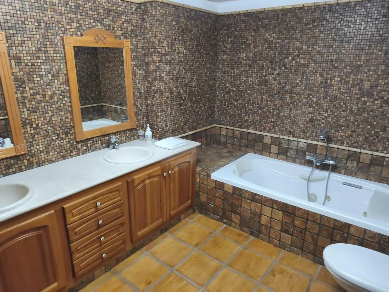 Baño de Casa o chalet en venta en Favara con Jardín privado, Terraza y Piscina