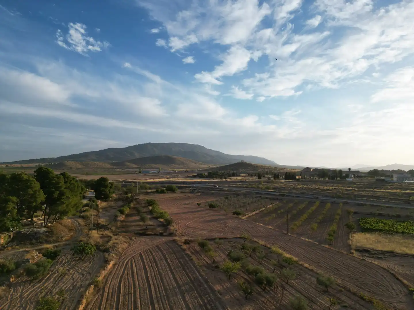 Terreno residencial en venta en El Pinós / Pinoso, imagen 2