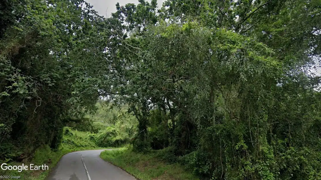 Terreny rústic en venda a Colunga, imagen 2