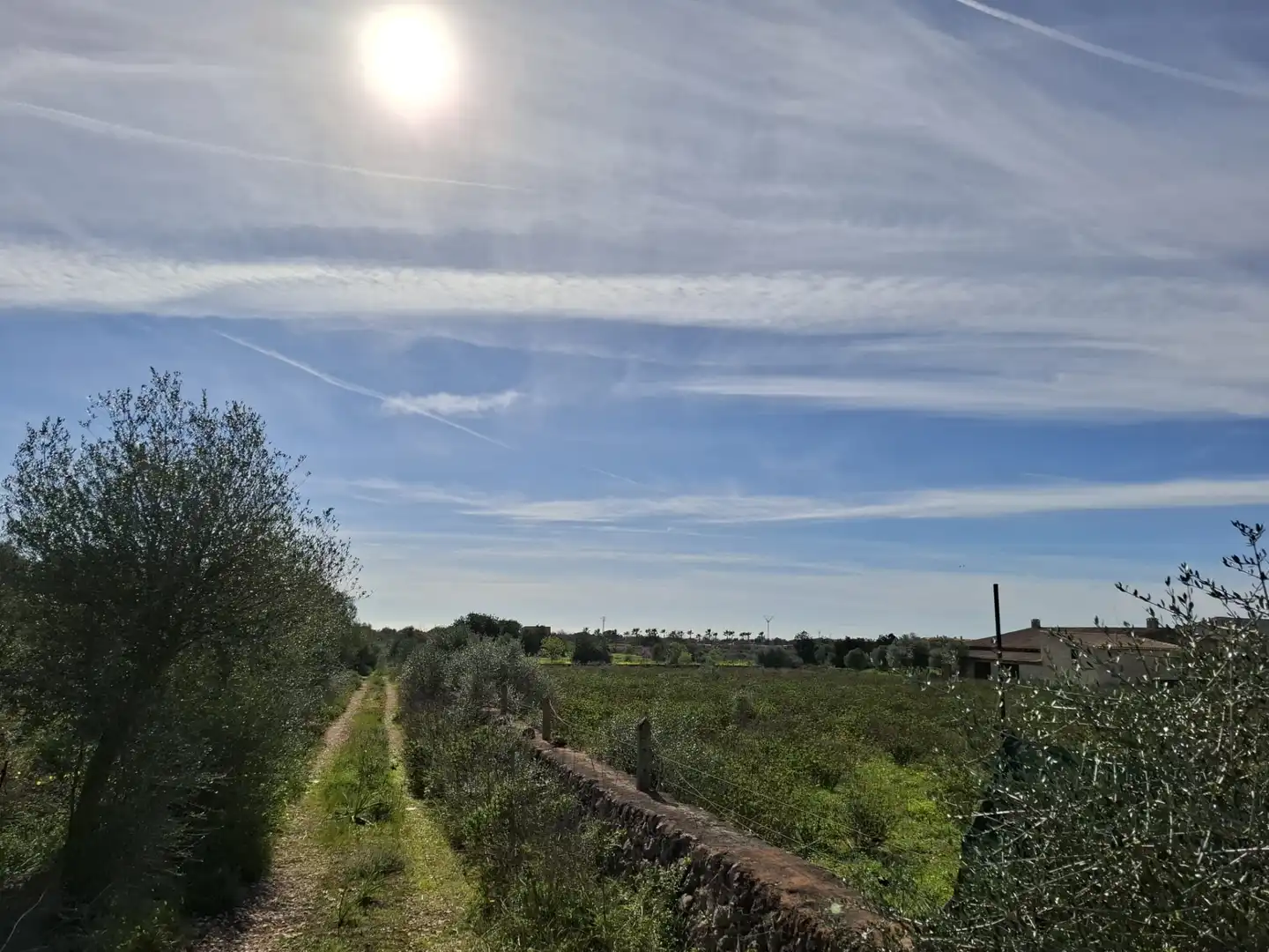 Rural land for sale in Carretera Porto Cristo-Son Servera 14