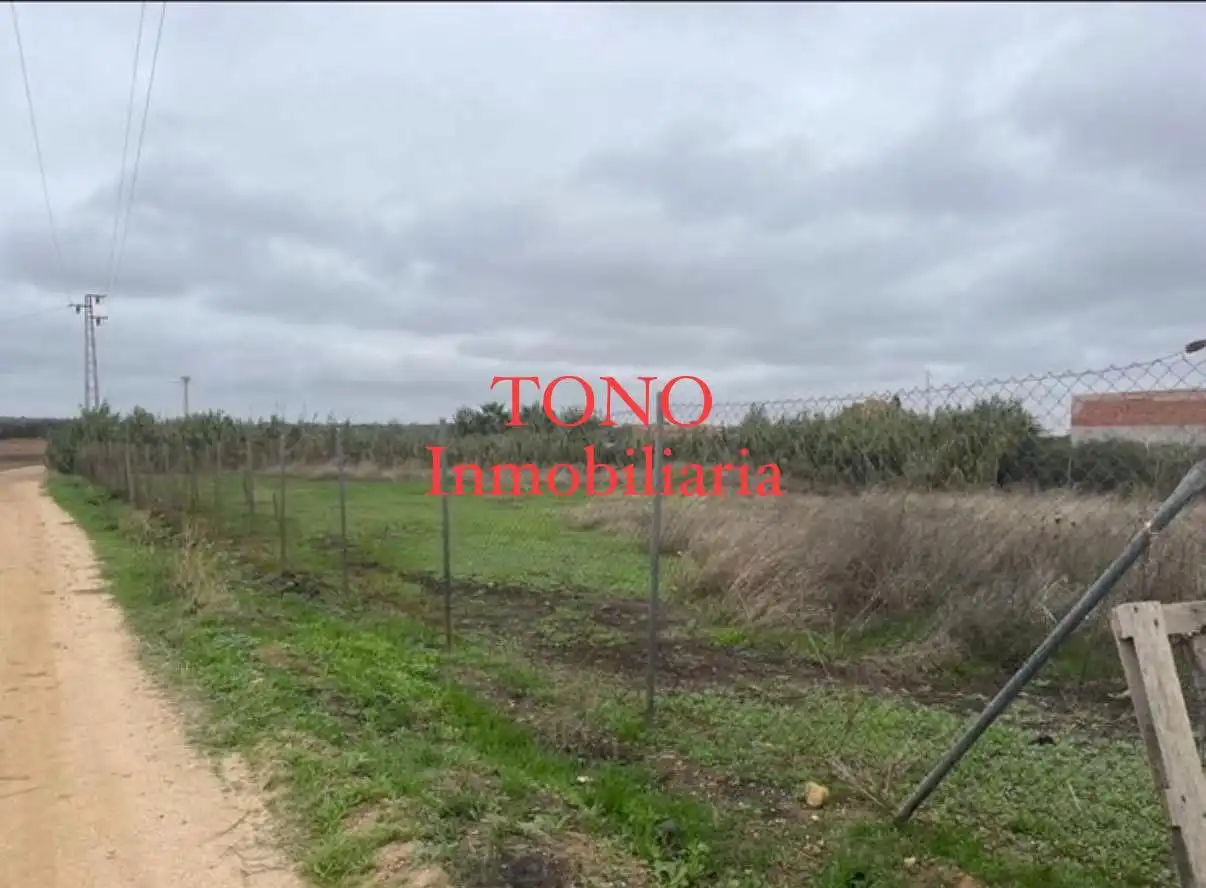 Terreny rústic en venda a Cañada Rosal, imagen 2