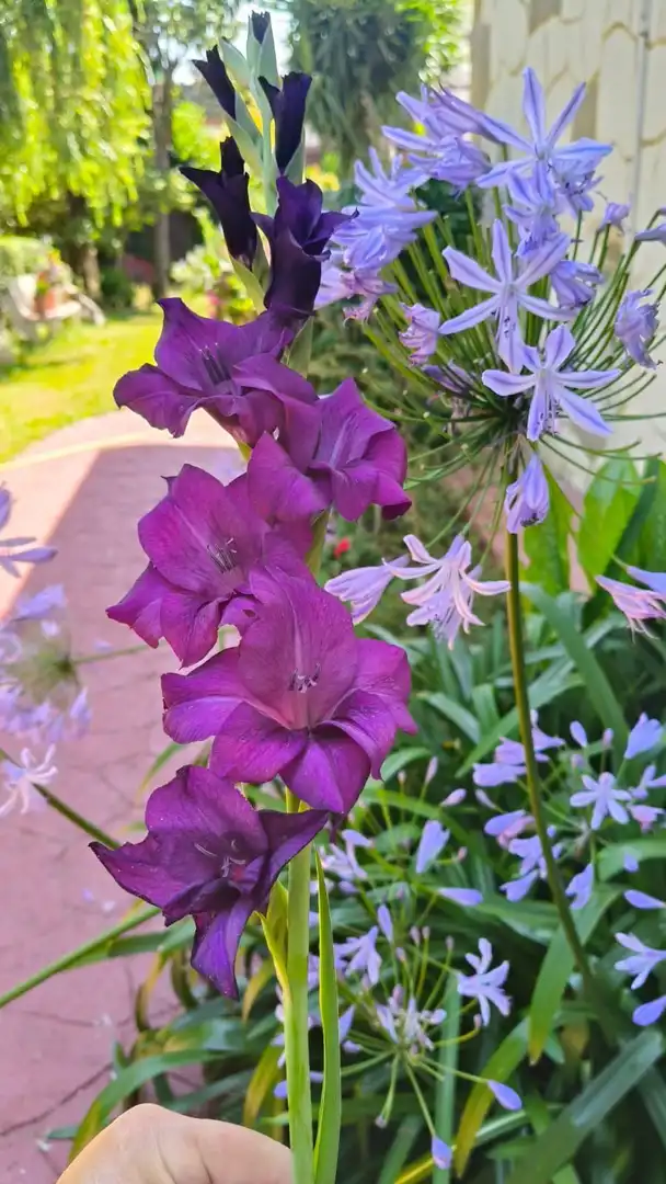 Haus mit Garten zum Verkauf in Bedia, imagen 47