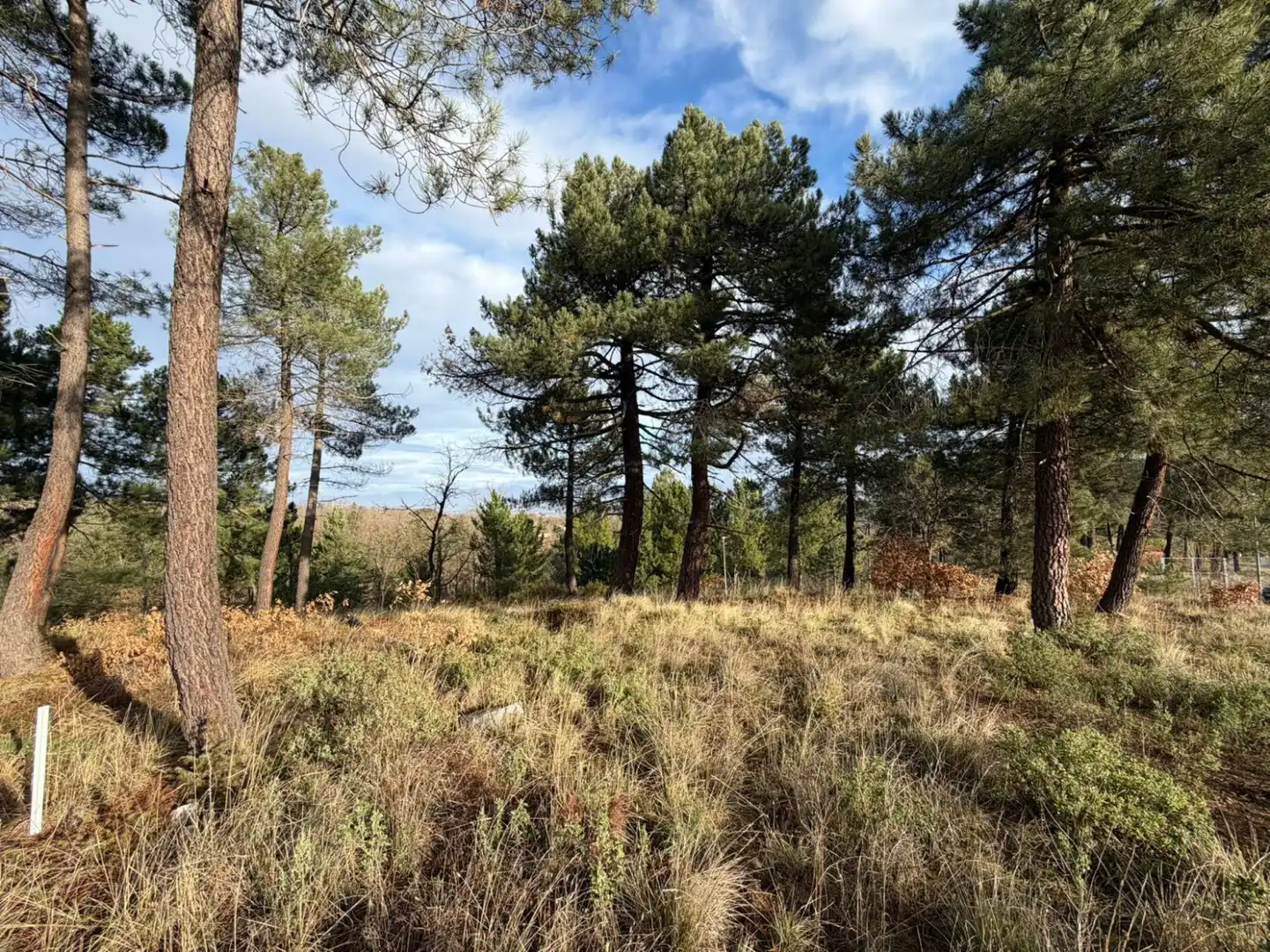 Wohnbaugrundstück zum Verkauf in Sojuela