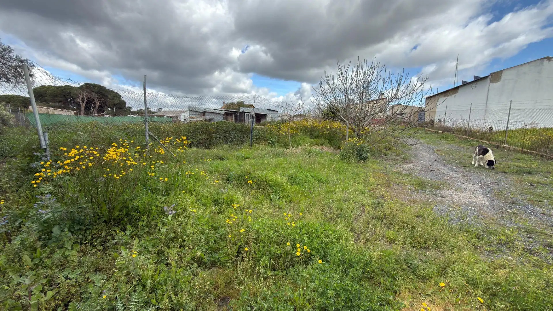 Finca rústica en venta en Punta Umbría