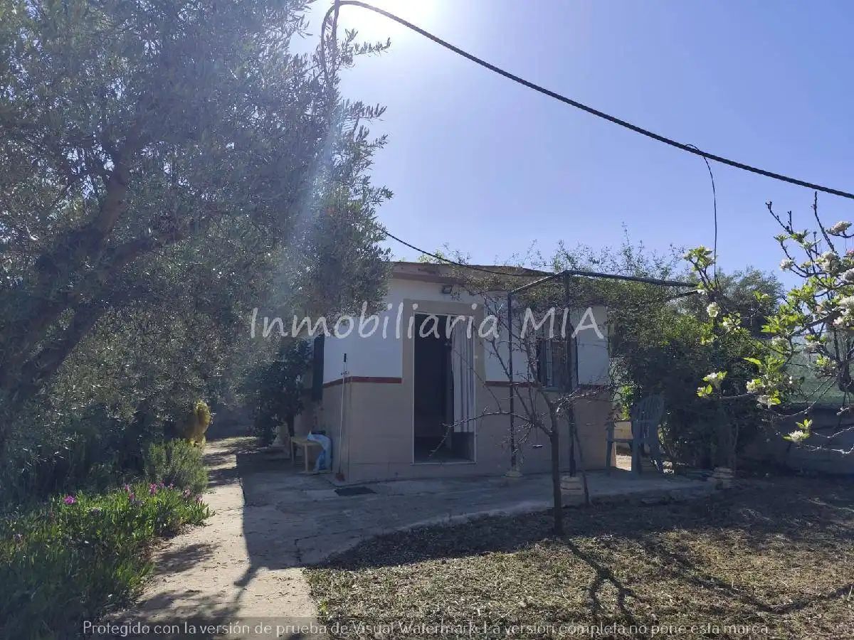 Casa amb piscina en venda a Centro, imagen 4