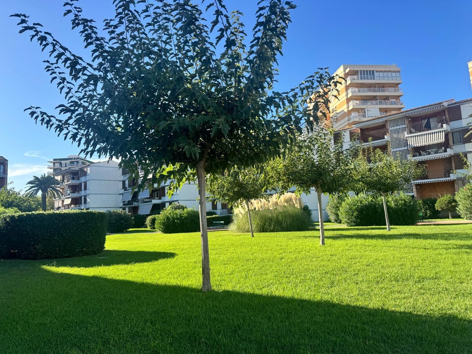 Exterior view of Apartment to rent in Benicasim / Benicàssim  with Private garden, Terrace and Community pool