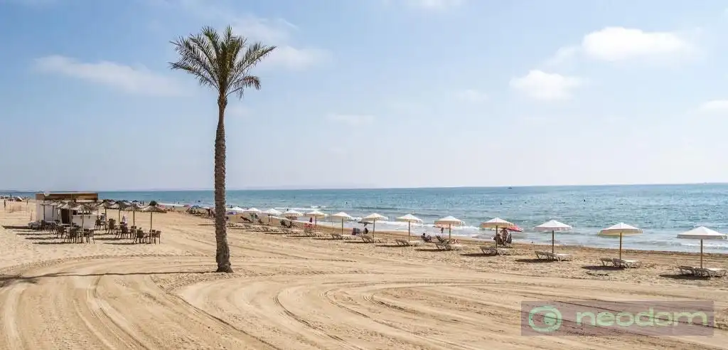 Exterior view of Flat for sale in Guardamar del Segura  with Terrace and Swimming Pool