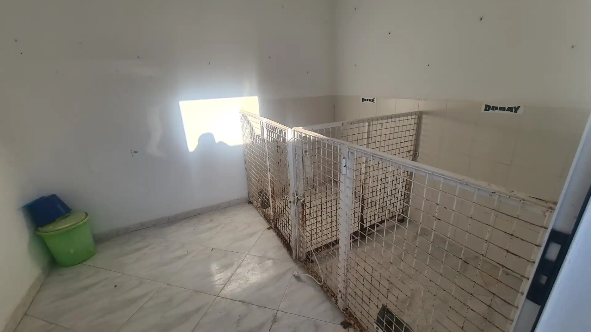 Maison à vendre à Azuaga, imagen 11