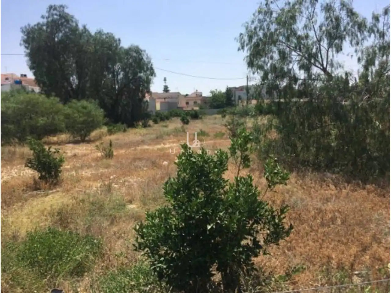 Terreni e lotti in vendita a Poligono Suelo Polígono 17 Parcela 1 OLMILLO. ALHAMA DE MUR 0, imagen 3