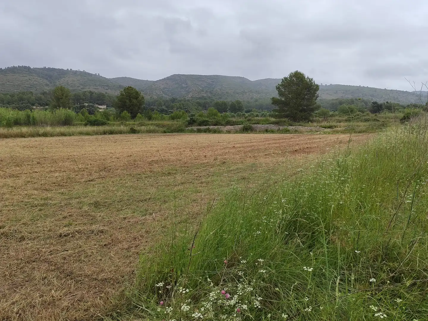 Rural land for sale in Benigànim