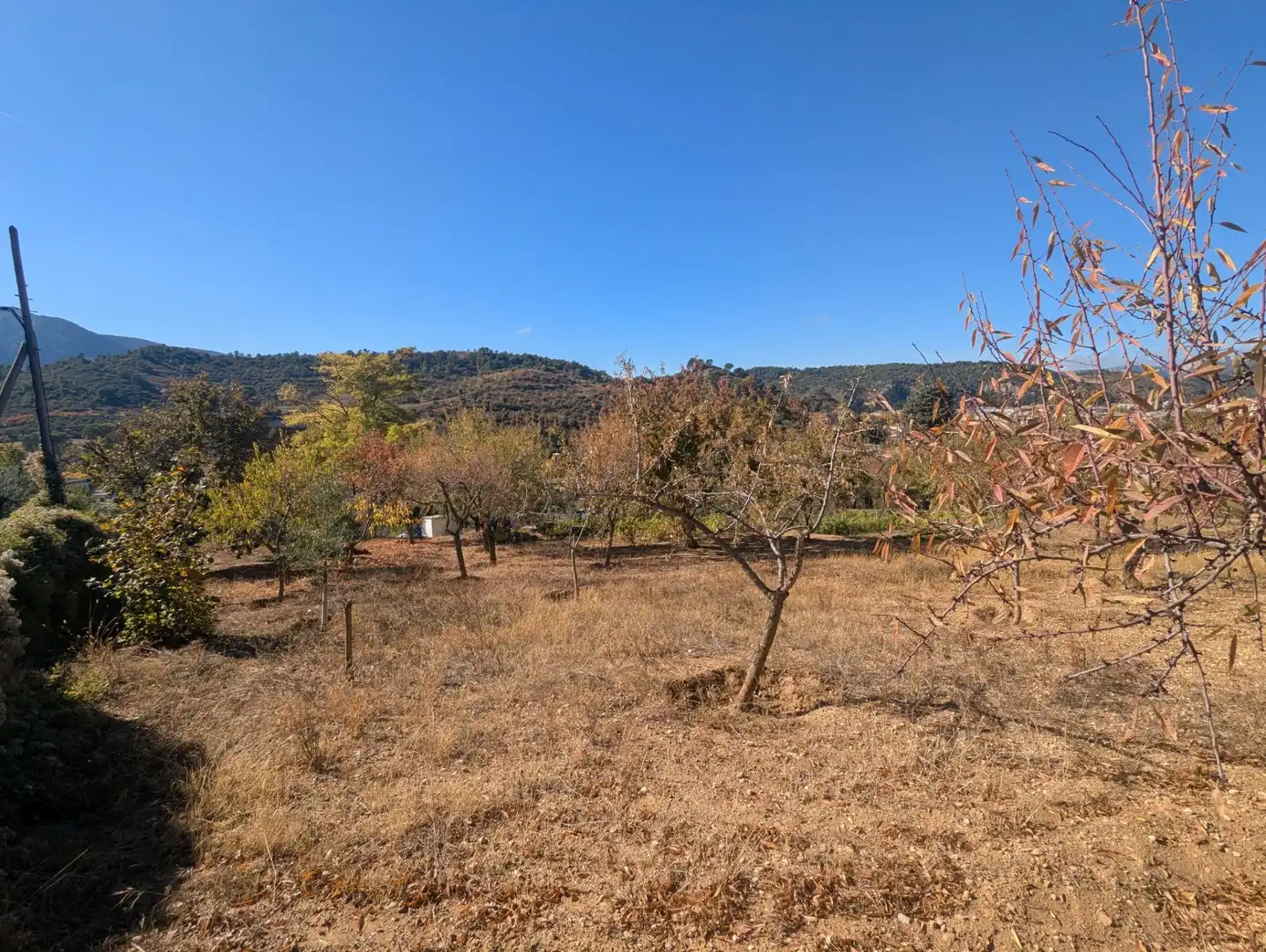Terreno rustico in vendita a Estella / Lizarra, imagen 4