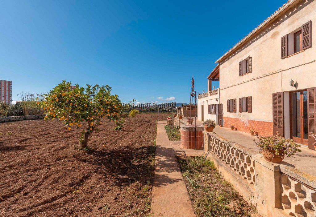 Jardí de Casa o xalet en venda en  Palma de Mallorca amb Jardí privat i Terrassa