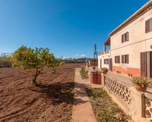 Jardí de Casa o xalet en venda en  Palma de Mallorca amb Jardí privat i Terrassa