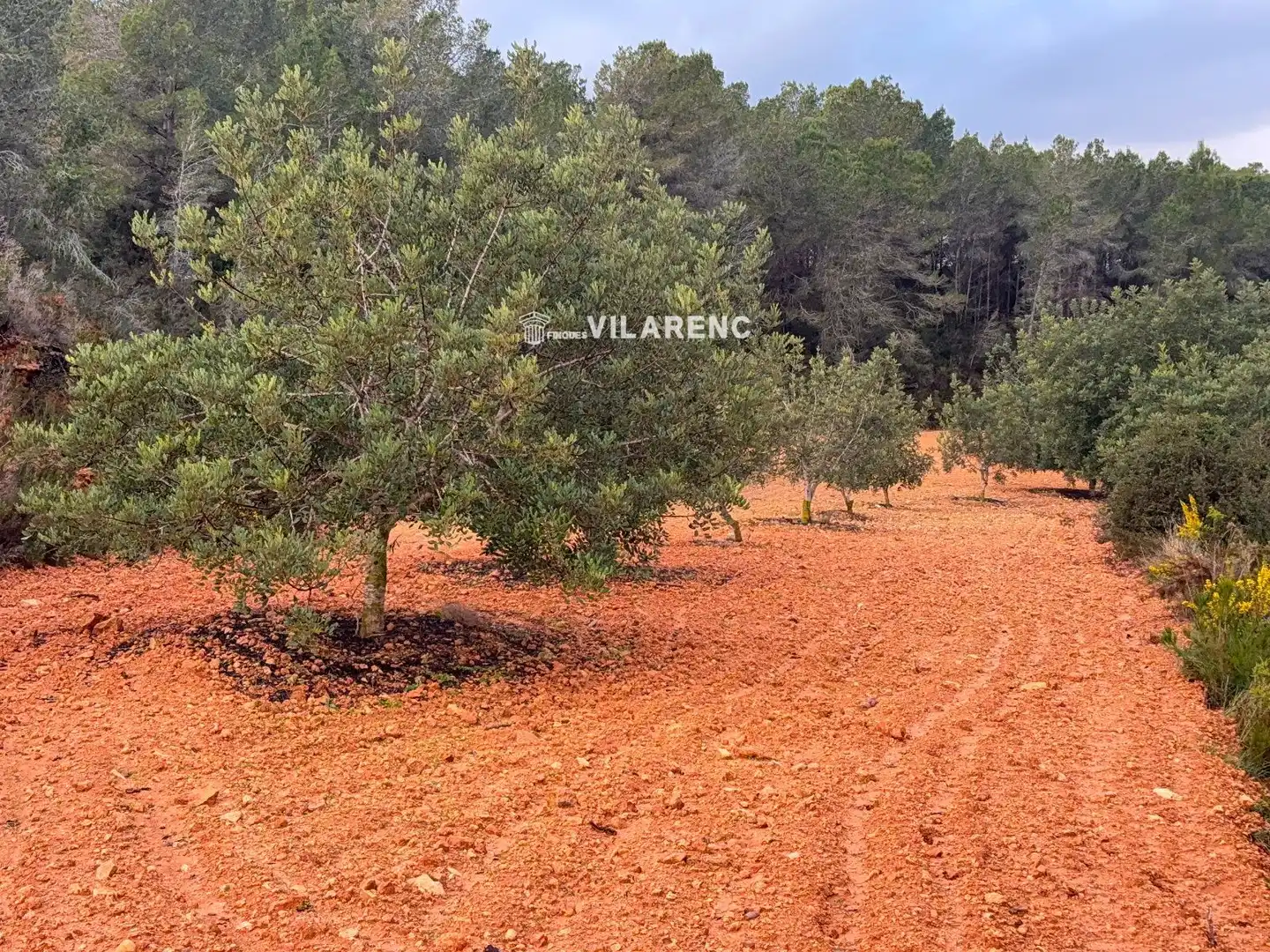 Terreno en venta en N/A