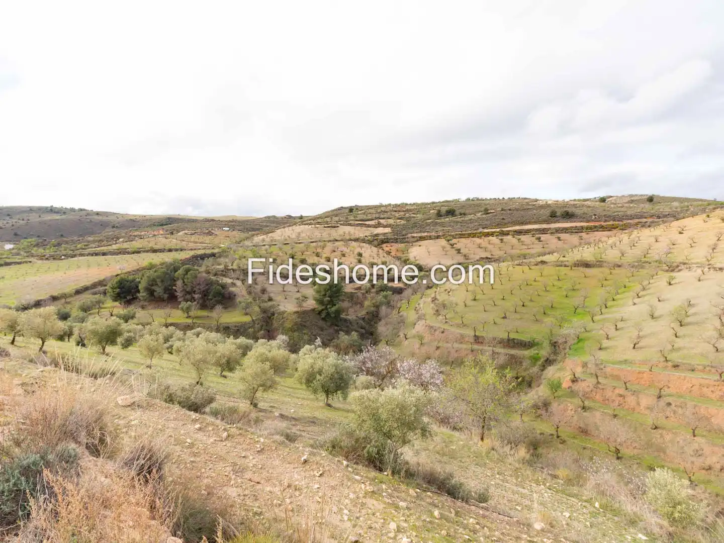 Finca rústica en venda en Villamena amb Jardí privat, Piscina i Moblat