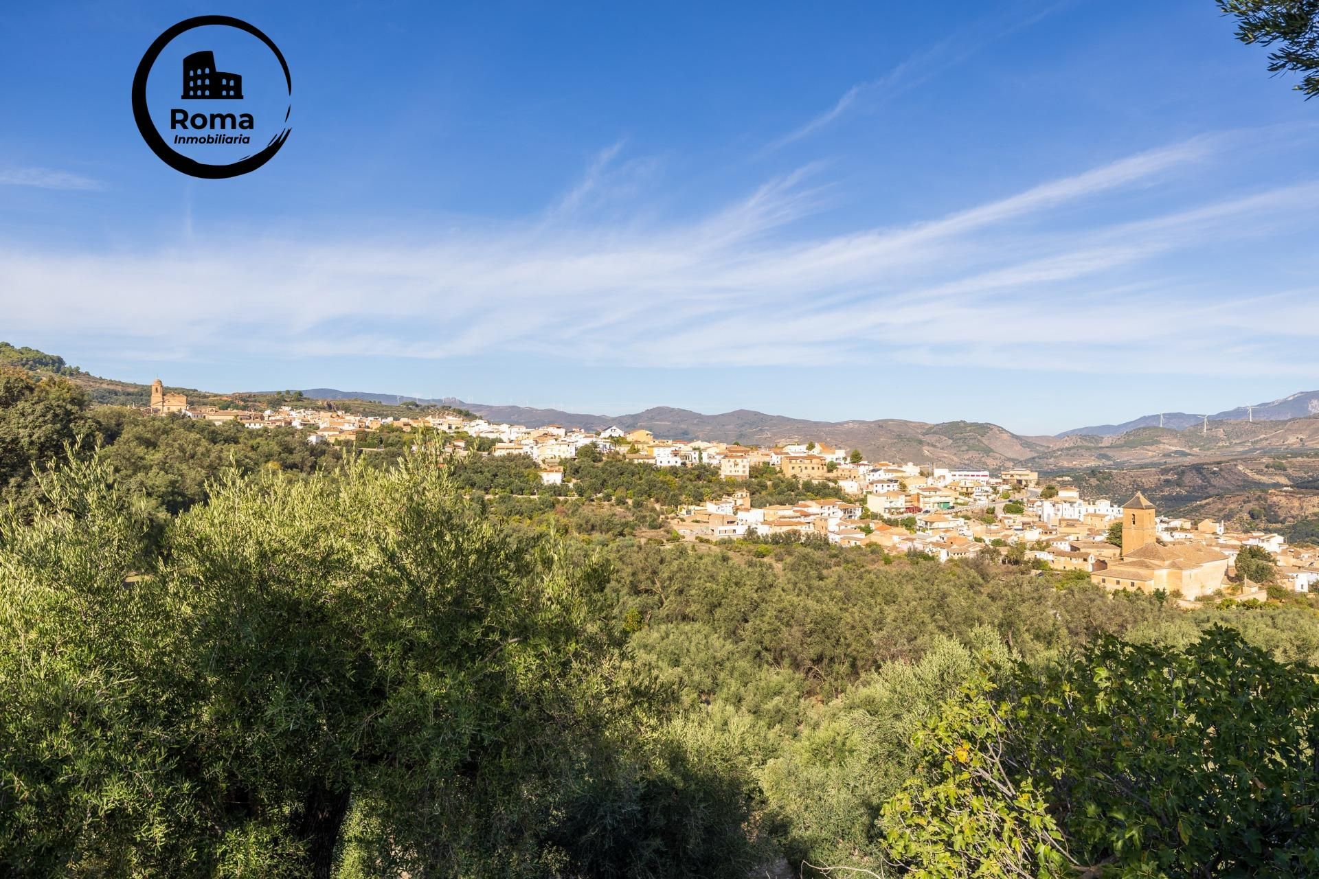 Exterior view of Land for sale in Lecrín