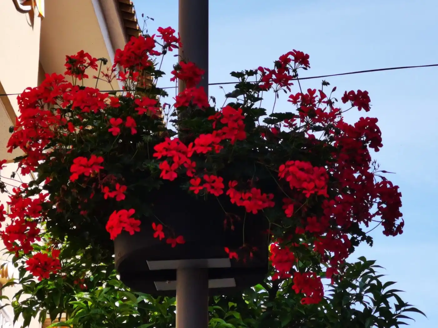 Wohnbaugrundstück zum Verkauf in Carrer de la Via Làctia 28, imagen 6