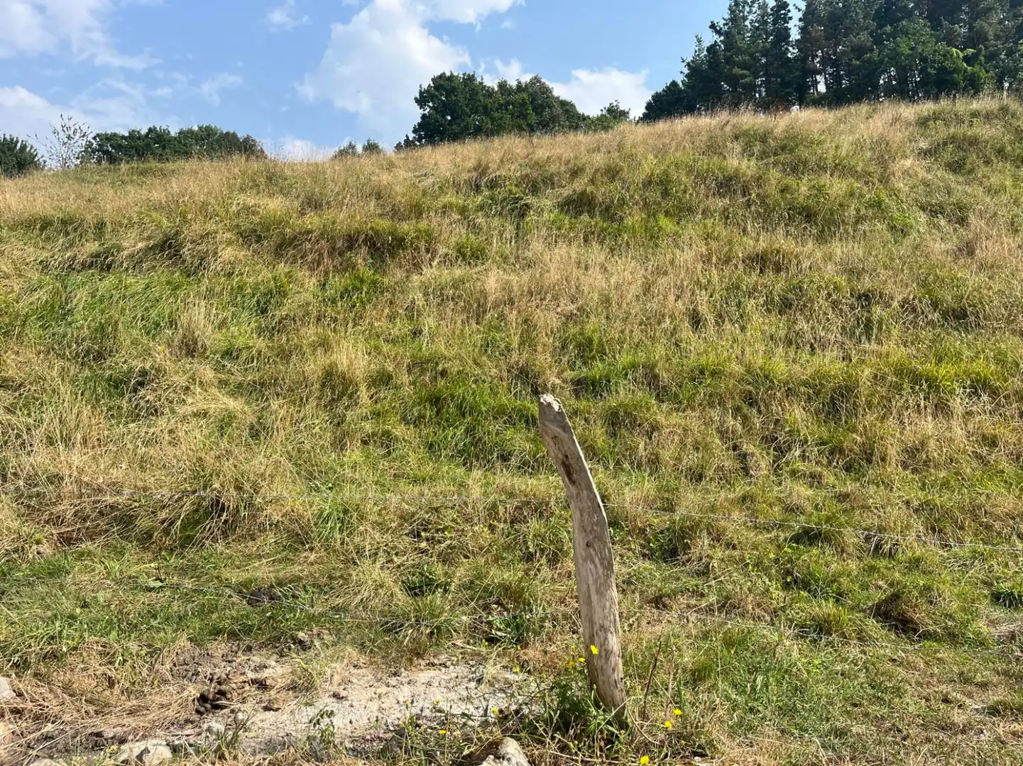 Wohnbaugrundstück zum Verkauf in San Miguel de Luena - SAN MIGUEL DE LUENA, imagen 8
