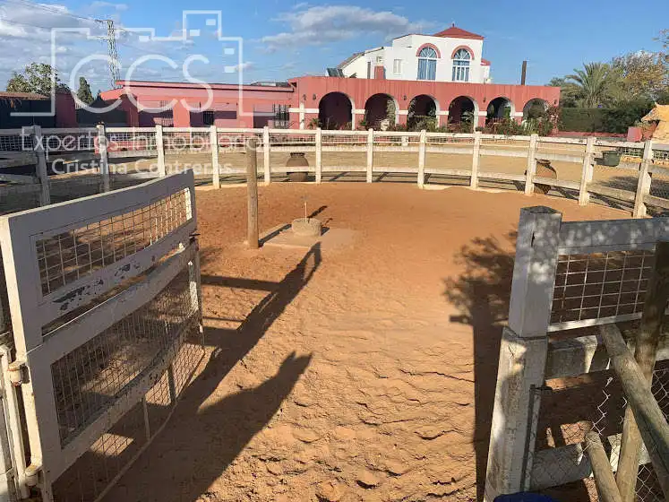 Vista exterior de Finca rústica en venta en Alcalá de Guadaira con Piscina y Amueblado