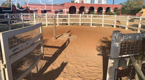 Foto 2 de Finca rústica en venda a Oromana, Sevilla