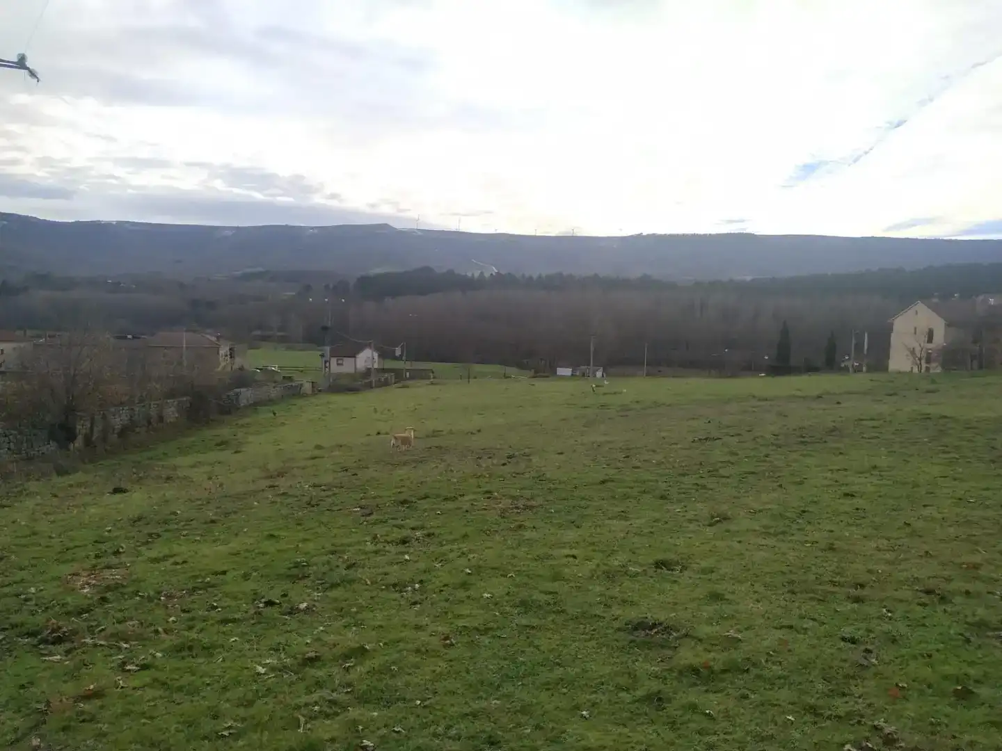 Land for sale in Valderredible