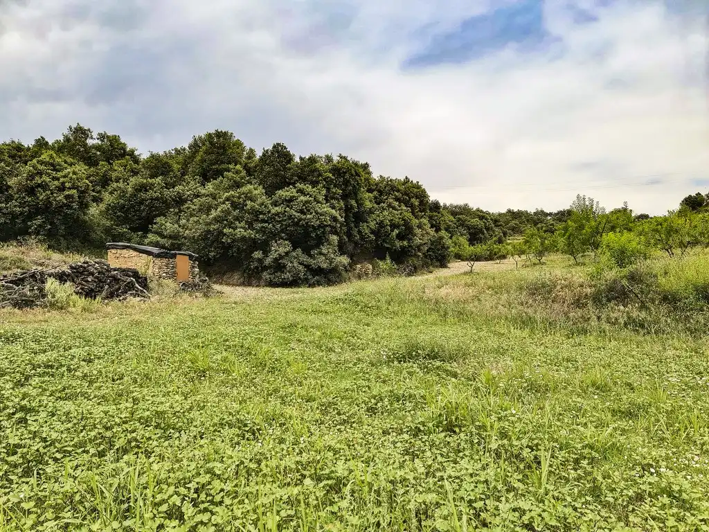 Residential land for sale in La Puebla de Castro, imagen 13