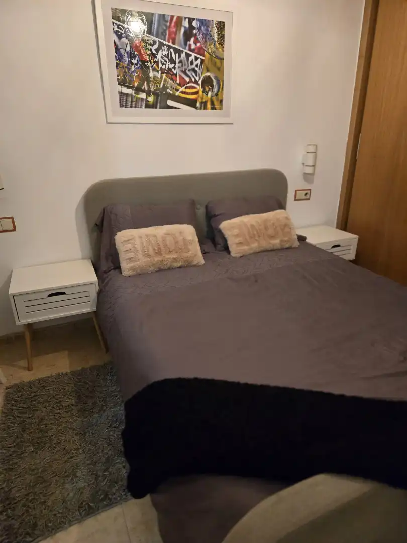 Casa bifamiliare con terrazza in vendita a Calle de las Azucenas 744, imagen 14