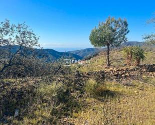 Industrial land for sale in Málaga Capital