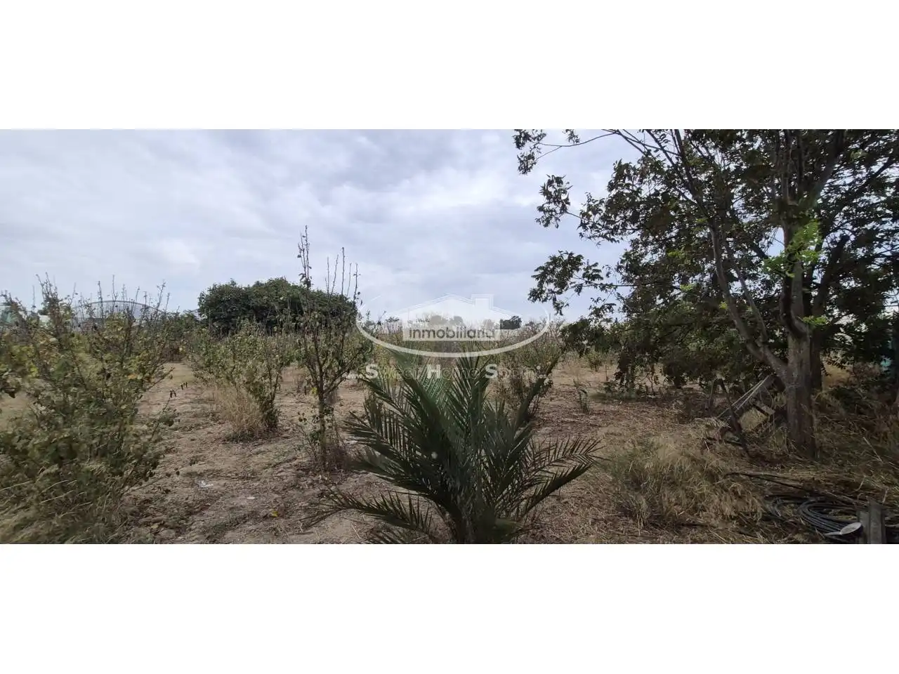 Terreno rustico in vendita a Calle Real de Chapitel, imagen 20