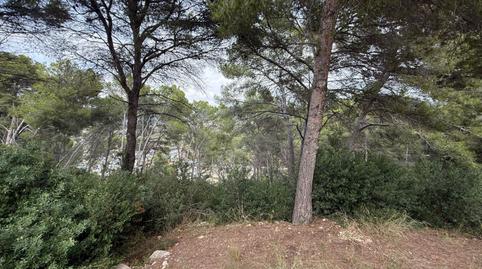 Photo 3 of Residential for sale in La Móra,  Tarragona Capital