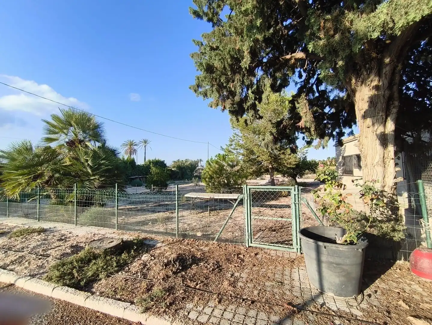 Casa o chalet en venta en Elche / Elx con Jardín privado