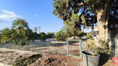 Foto 3 de Casa o xalet en venda a Algorós - El Derramador, Elche / Elx