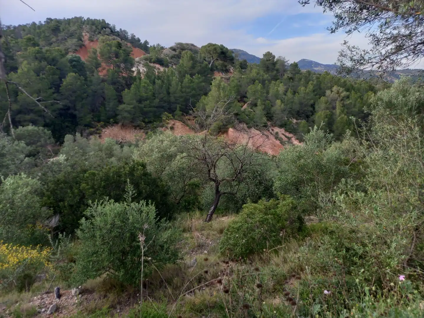 Rural land for sale in El Pinell de Brai, imagen 8