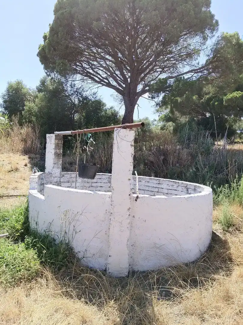 Jardí de Casa o xalet en venda en Vejer de la Frontera