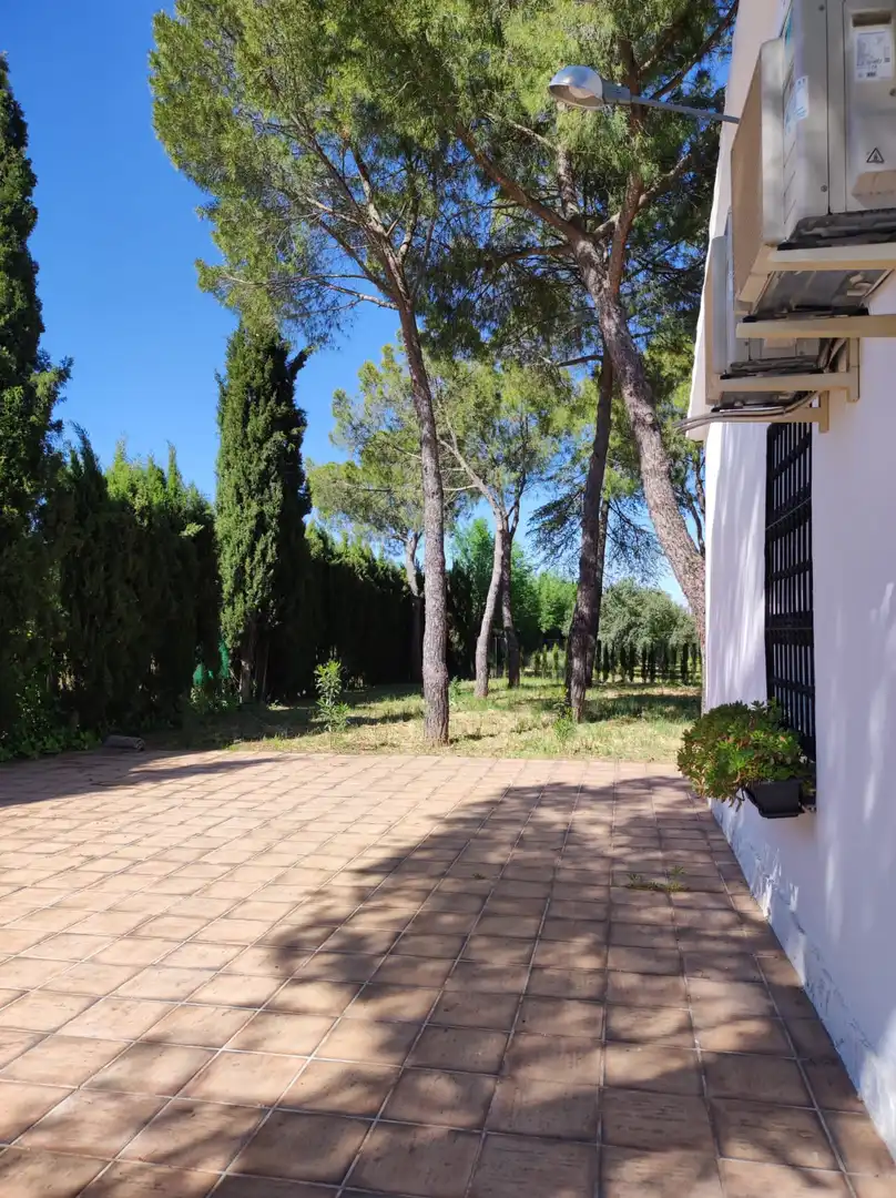 Jardín de Casa o chalet en venta en Ciudad Real con Aire acondicionado, Calefacción y Jardín privado