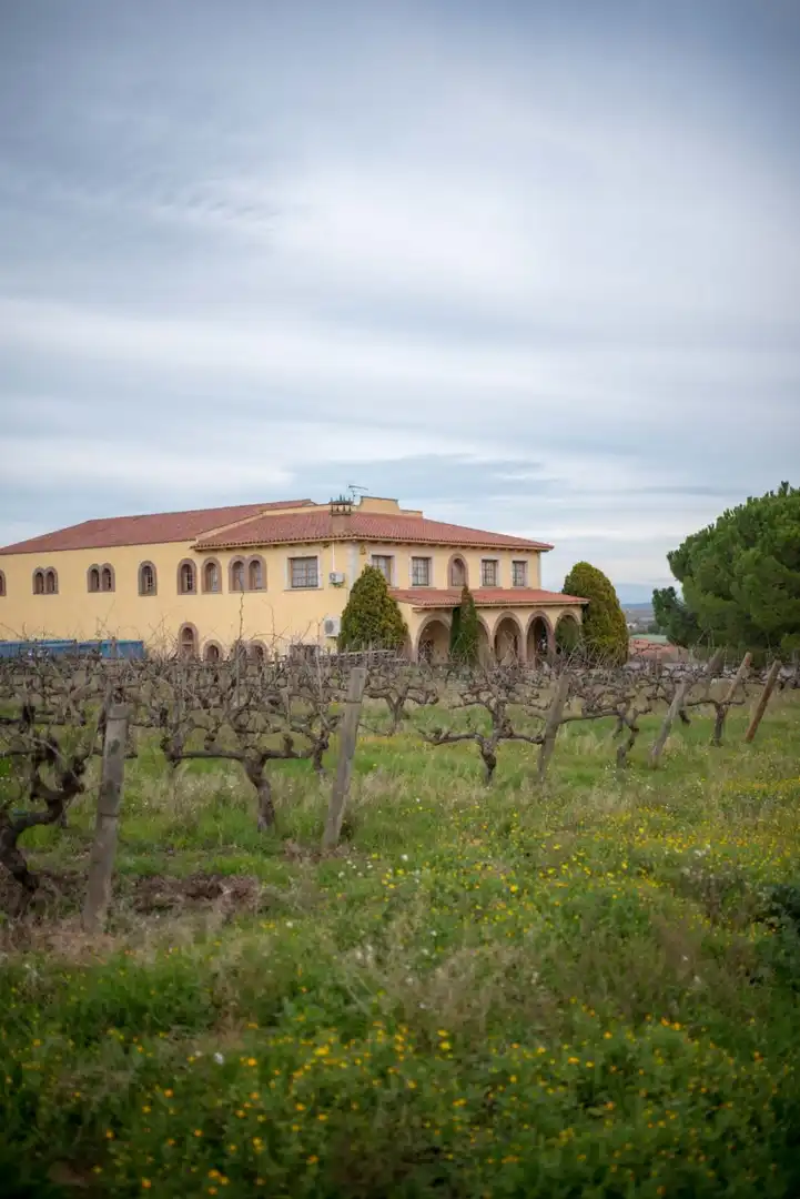 Vista exterior de Finca rústica en venta en Santa Fe del Penedès