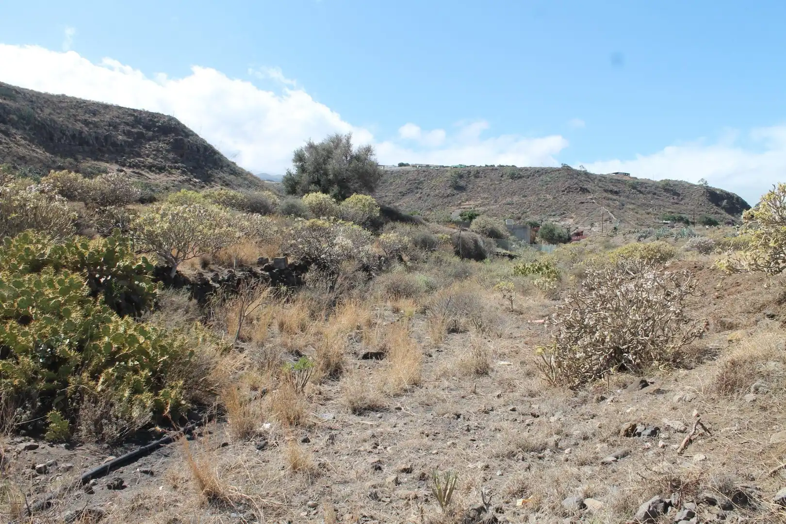 Rural land for sale in San Gregorio, imagen 9