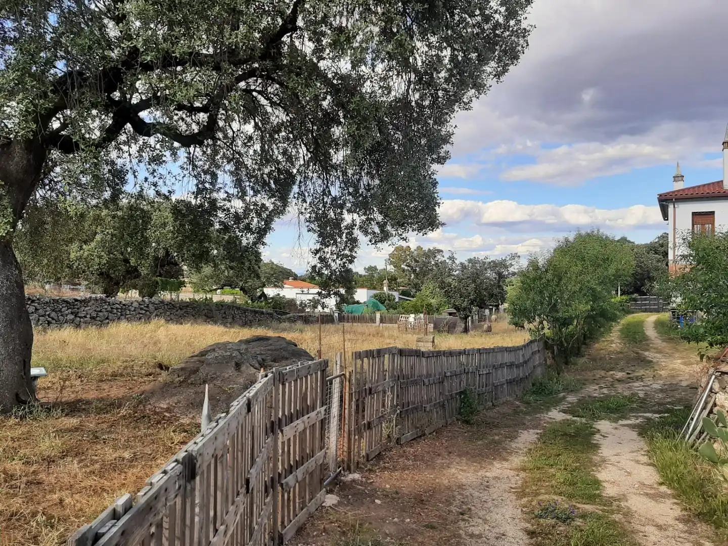 Terreni e lotti in vendita a Casar de Cáceres, imagen 3