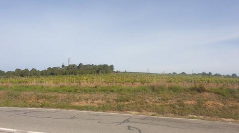 Foto 4 de Finca rústica en venda a Renau, Tarragona