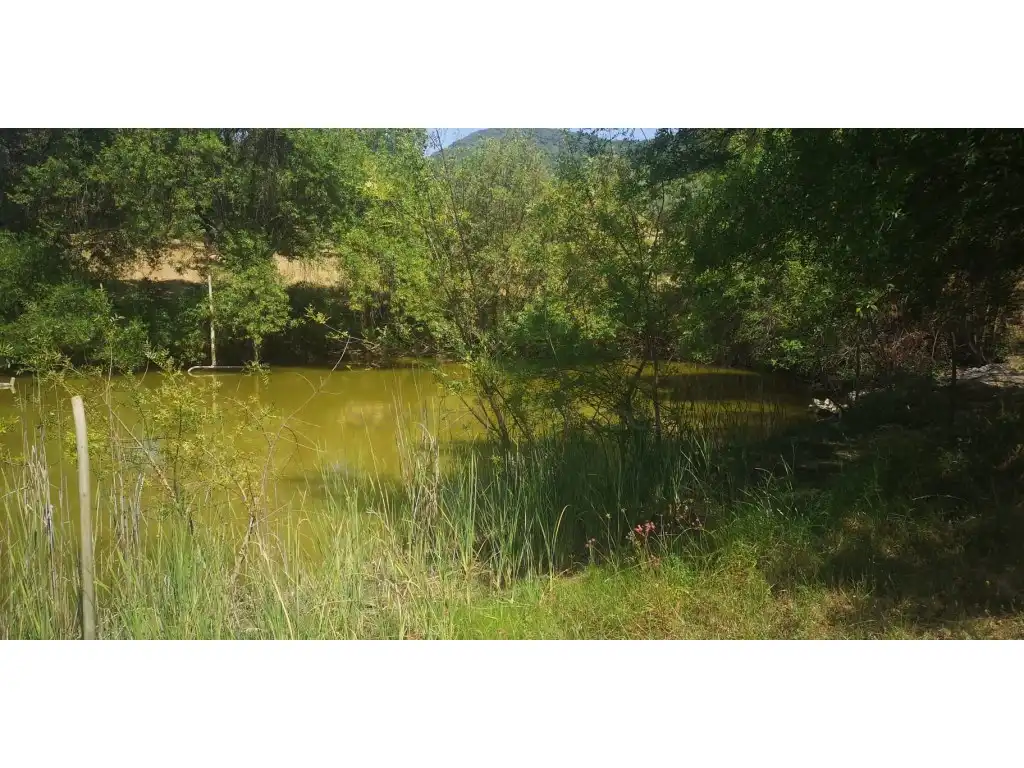 Casa rústica en venda a Gaucín, imagen 27
