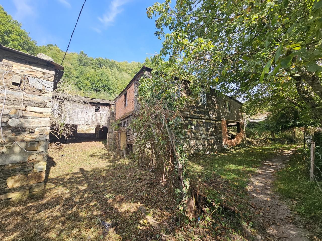 Vista exterior de Casa o xalet en venda en Villanueva de Oscos amb Jardí privat