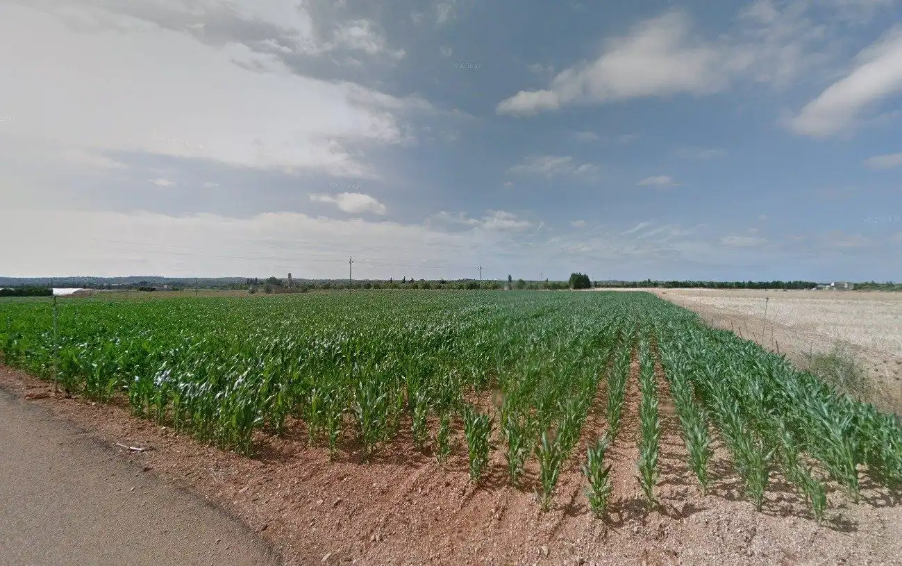 Wohnbaugrundstück zum Verkauf in Sa Pobla, imagen 4