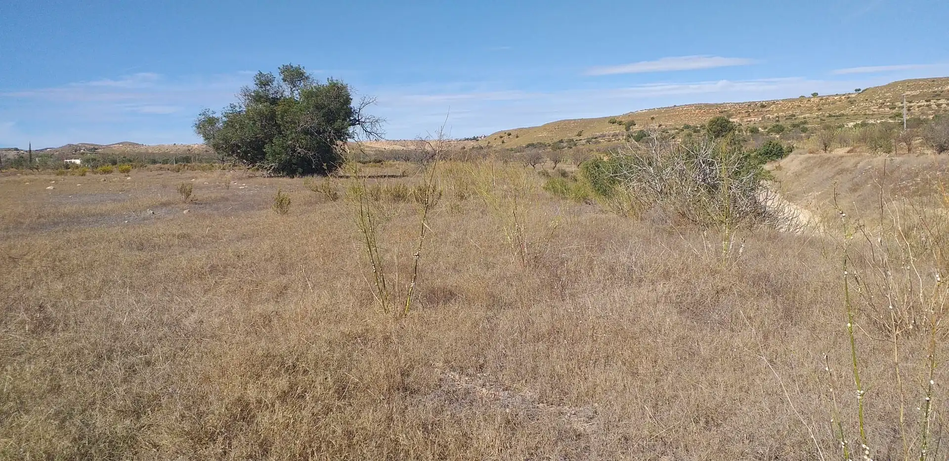 Rustikales Grundstück zum Verkauf in Pedanías Oeste, imagen 4