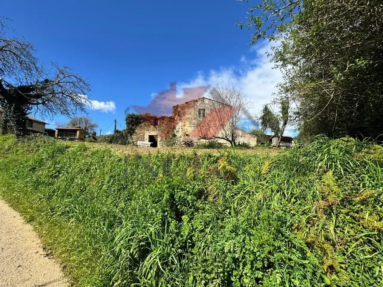 Finca rústica en venda en Abegondo