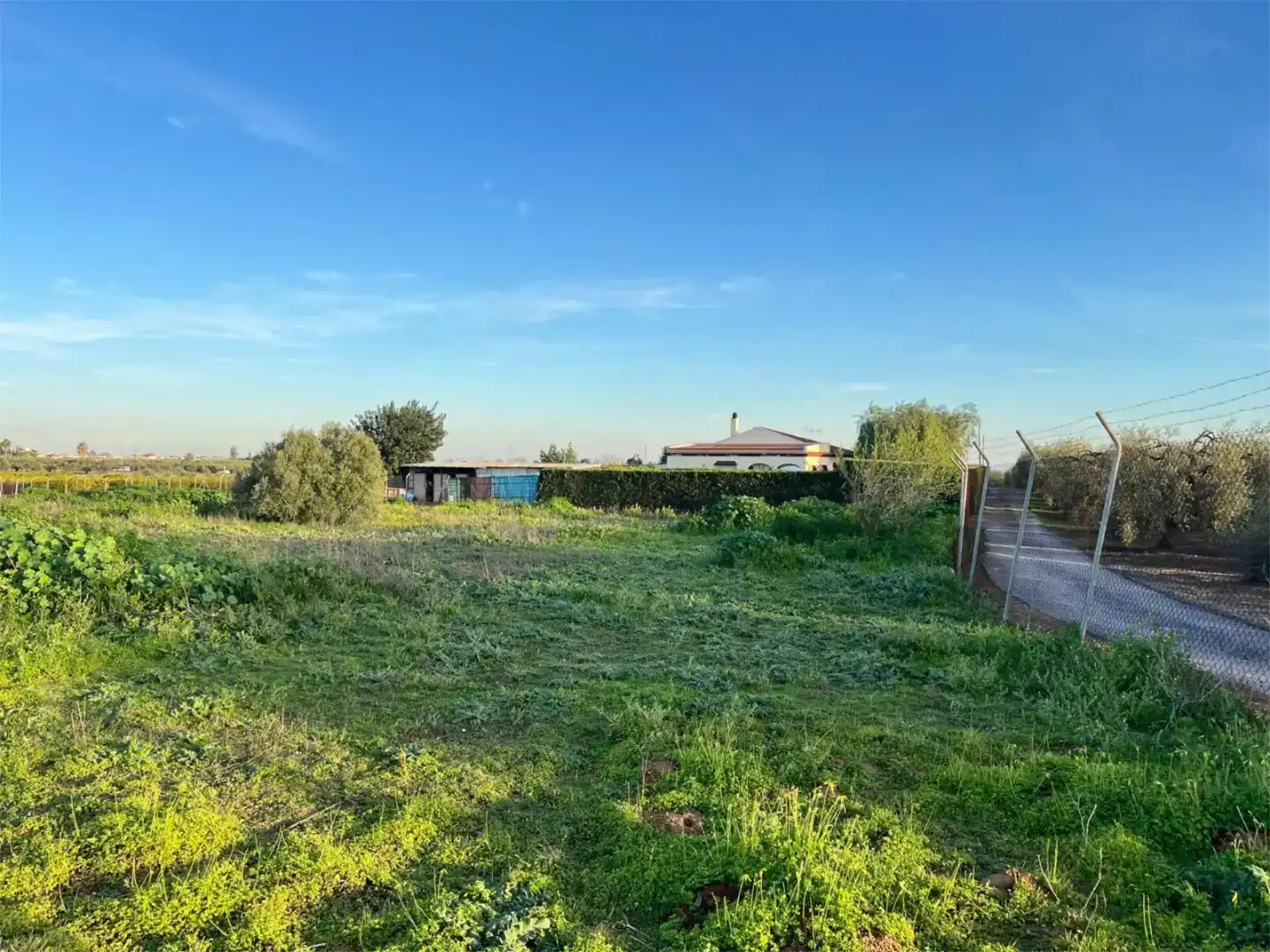 Terreno en venta en Benacazón