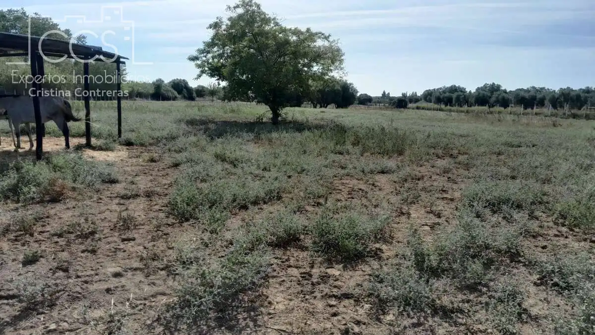 Casa rústica amb jardí en venda a Almonte ciudad, imagen 20