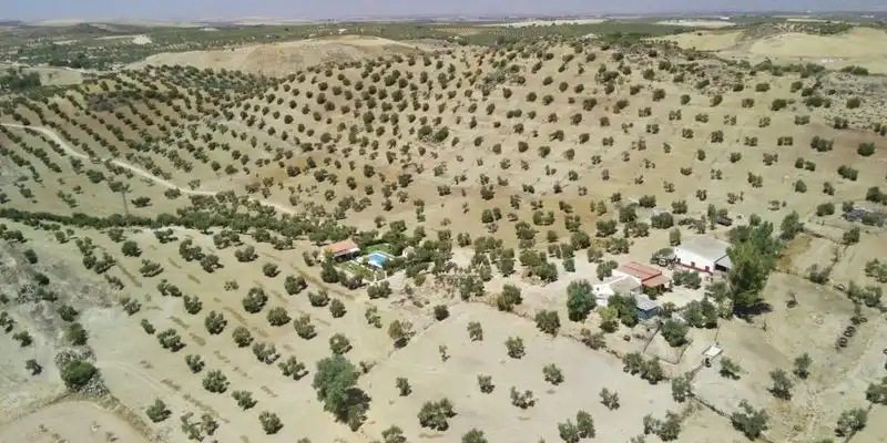 Land for sale in Morón de la Frontera